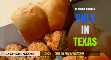 Is Bush's Chicken Exclusive to Texas? Exploring Its Regional Presence