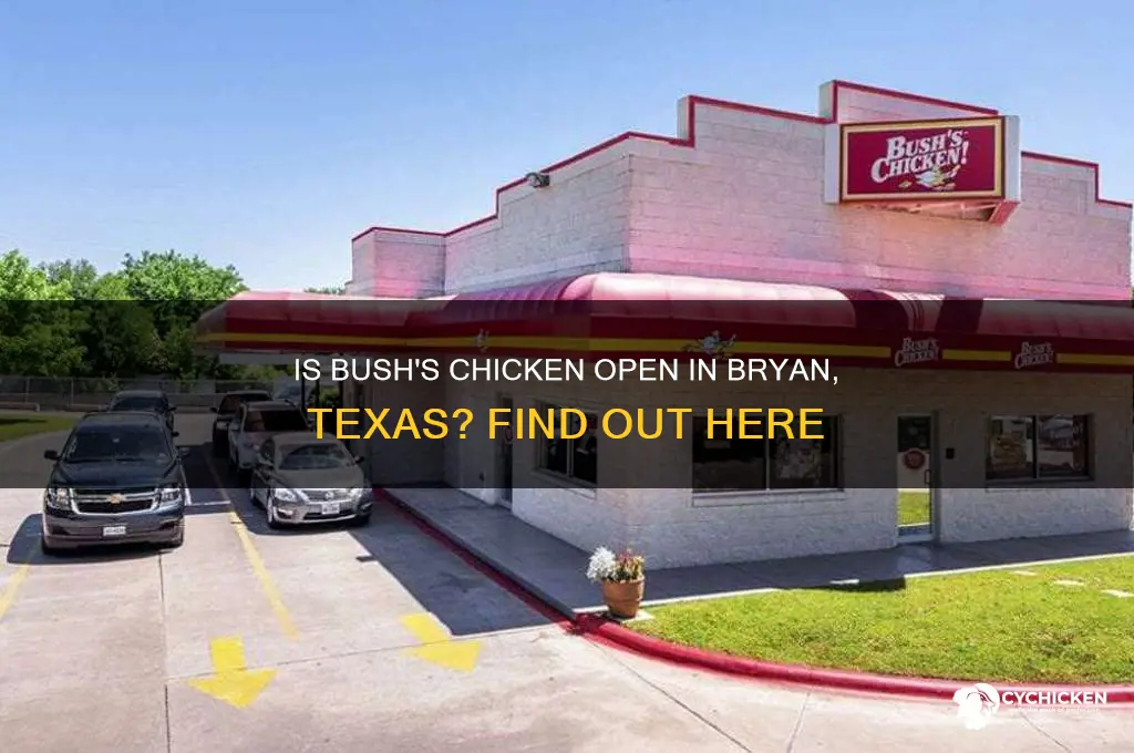 is bush