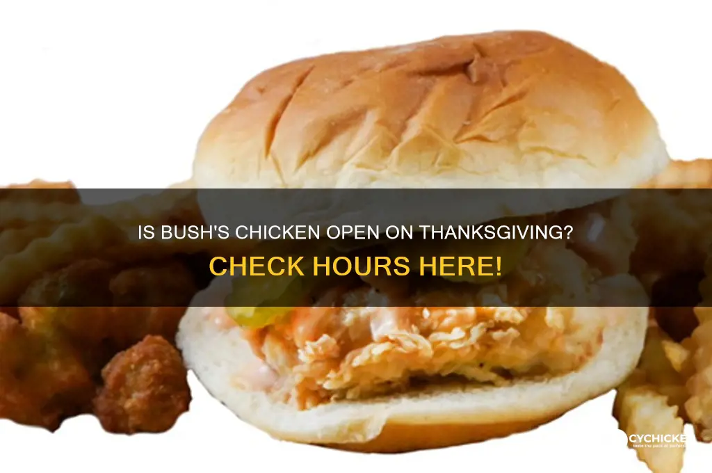 is bush