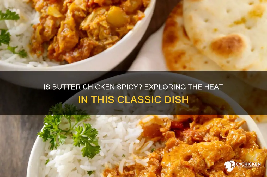 is butter chicken meant to be spicy