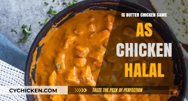 Butter Chicken vs. Chicken Halal: Understanding the Culinary Differences