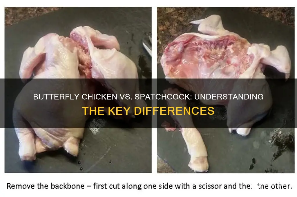 is butterfly chicken the same as spatchcock