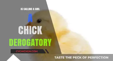 Is 'Chick' a Harmless Term or Sexist Slang for Women?
