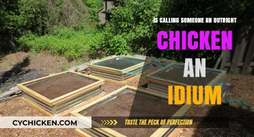 Is 'Outright Chicken' an Idiom? Exploring Its Meaning and Usage