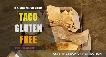 Is Cantina Chicken Crispy Taco Gluten-Free? A Complete Guide