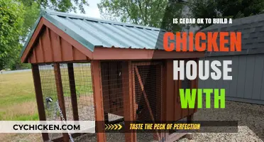 Cedar Chicken Coops: Safe or Not?