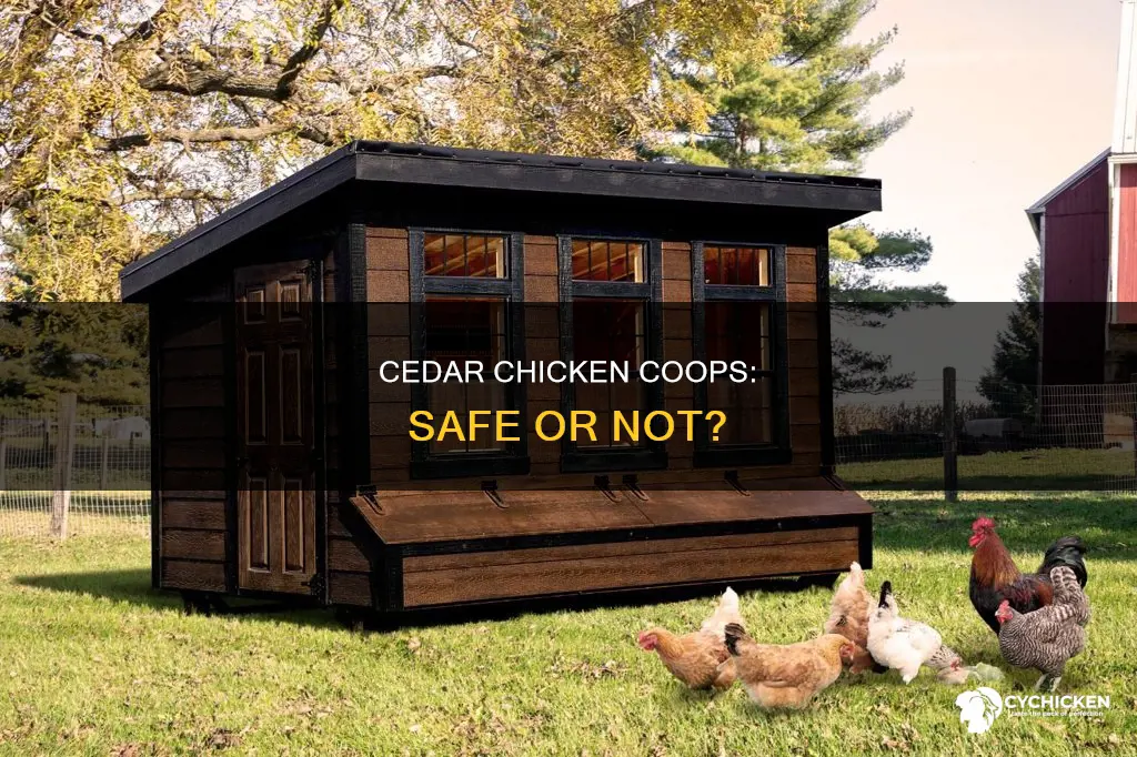 is cedar ok to build a chicken house with