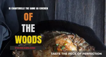 Chanterelle vs Chicken of the Woods: What's the Difference?