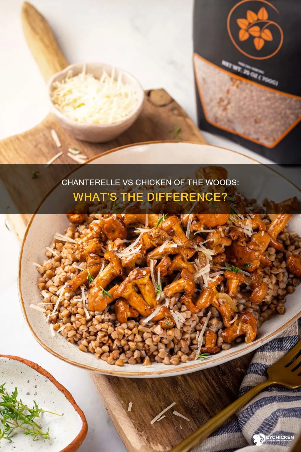 is chanterelle the same as chicken of the woods
