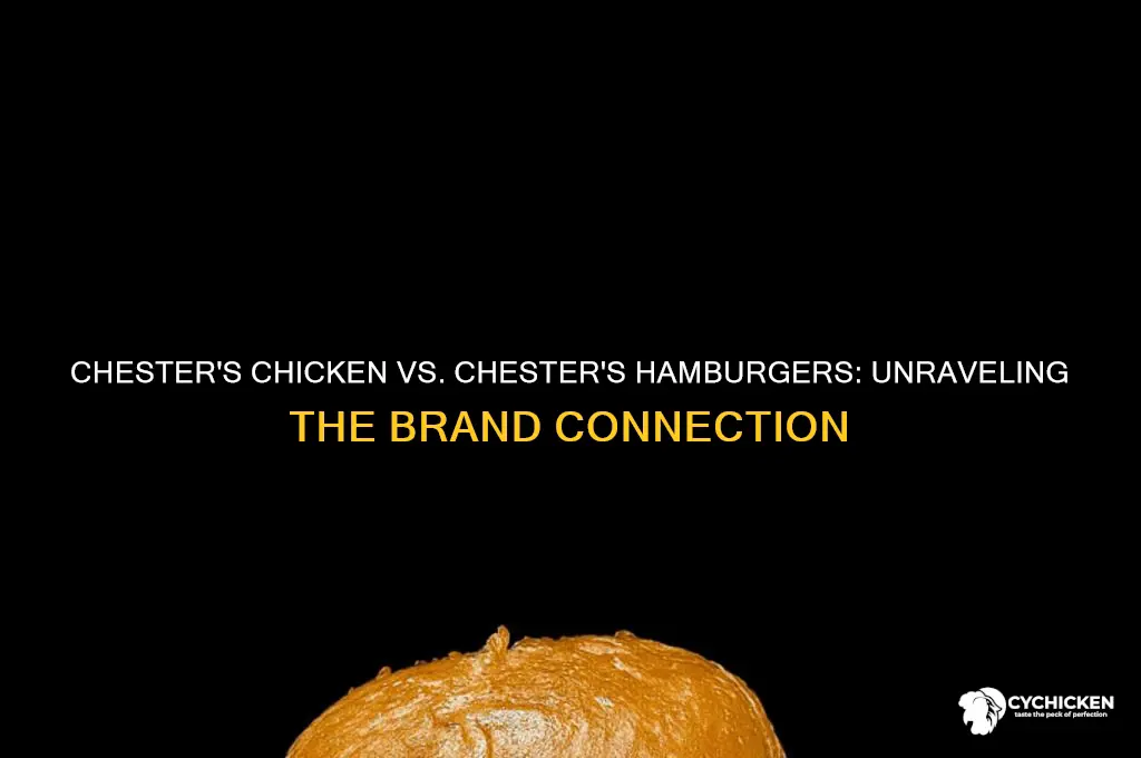 is chester