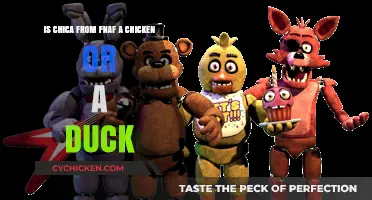 What Is Chica? Duck, Chicken, or Something Else?