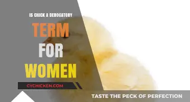 Is 'Chick' Offensive? Exploring the Term's Impact on Women