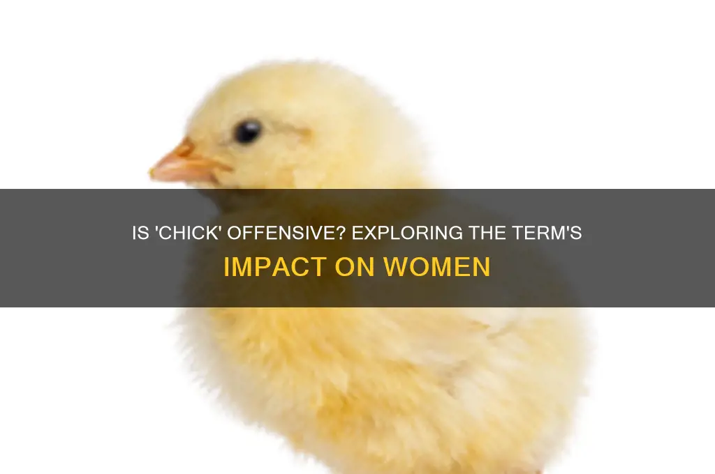 is chick a derogatory term for women