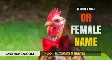 Is Chick a Gender-Neutral Name? Unraveling the Male or Female Debate