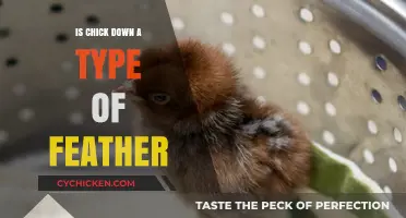 Is Chick Down a Feather Type? Unraveling the Truth About Chick Down