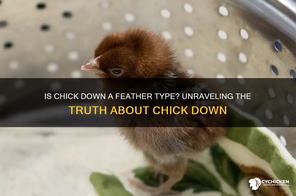is chick down a type of feather