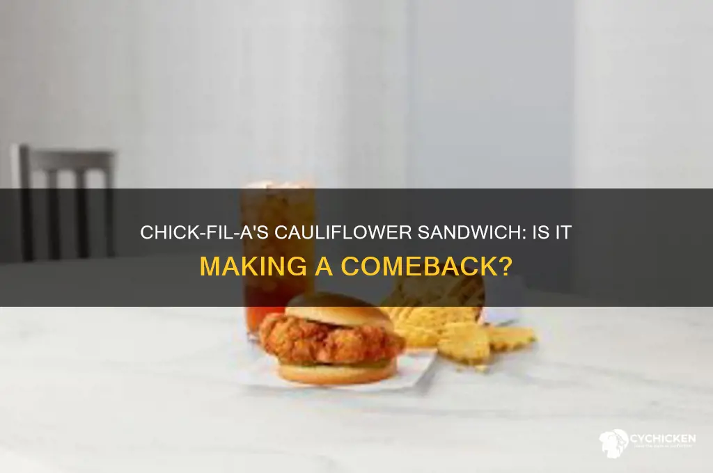 is chick fil a bringing back the cauliflower sandwich