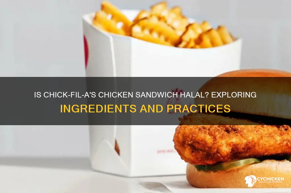 is chick fil a chicken sandwich halal