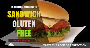 Chick-fil-A Spicy Chicken Sandwich: Gluten-Free or Not?