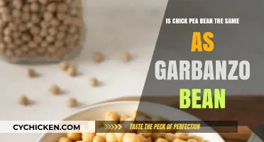 Chick Pea Bean and Garbanzo Bean: Are They the Same?