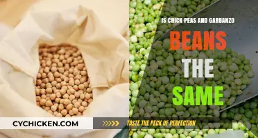Chickpeas vs. Garbanzo Beans: Unraveling the Same Legume Mystery