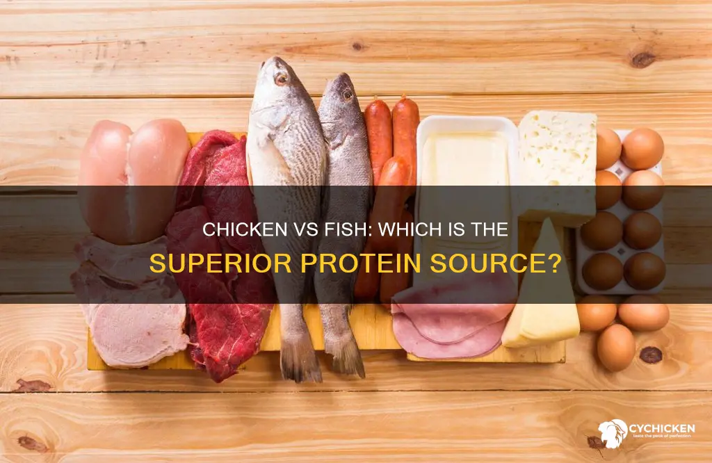 is chicken a better source of protein than fish