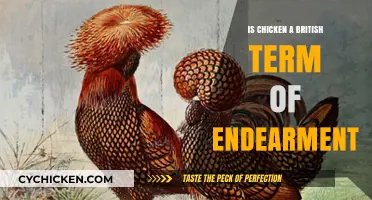 Is 'Chicken' a British Term of Endearment? Exploring Its Origins