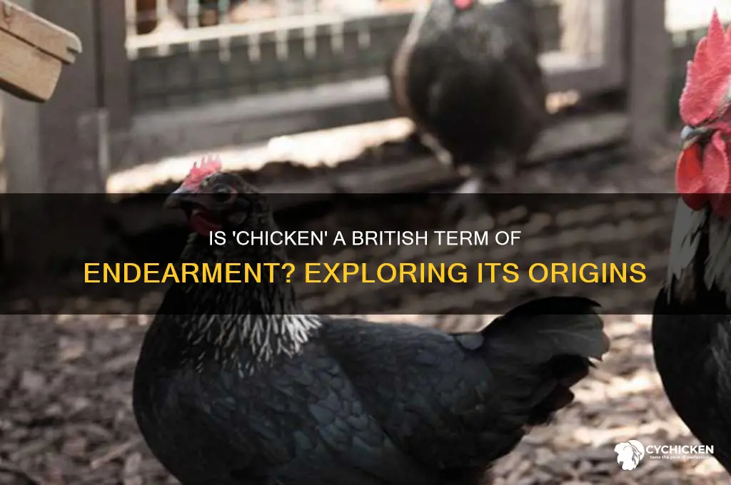 is chicken a british term of endearment