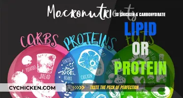 Is Chicken a Carb, Fat, or Protein? Nutritional Breakdown Explained