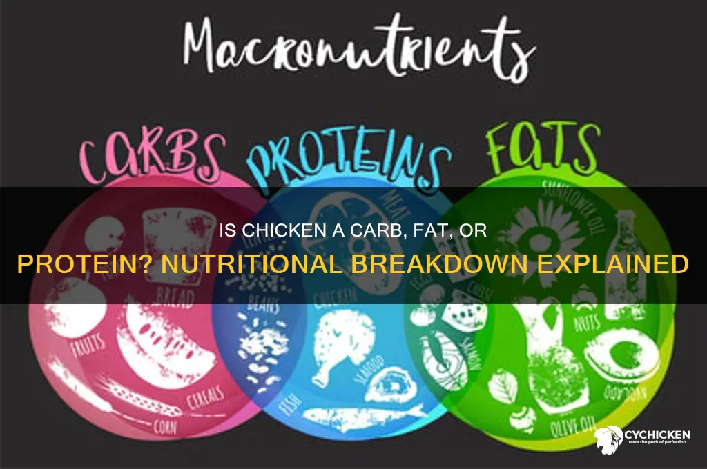 is chicken a carbohydrate lipid or protein