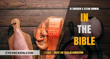 Biblical Insights: Is Chicken Considered a Clean Animal in Scripture?