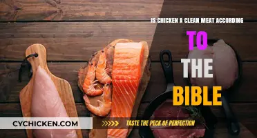 Chicken and the Bible: Clean Meat or Not?