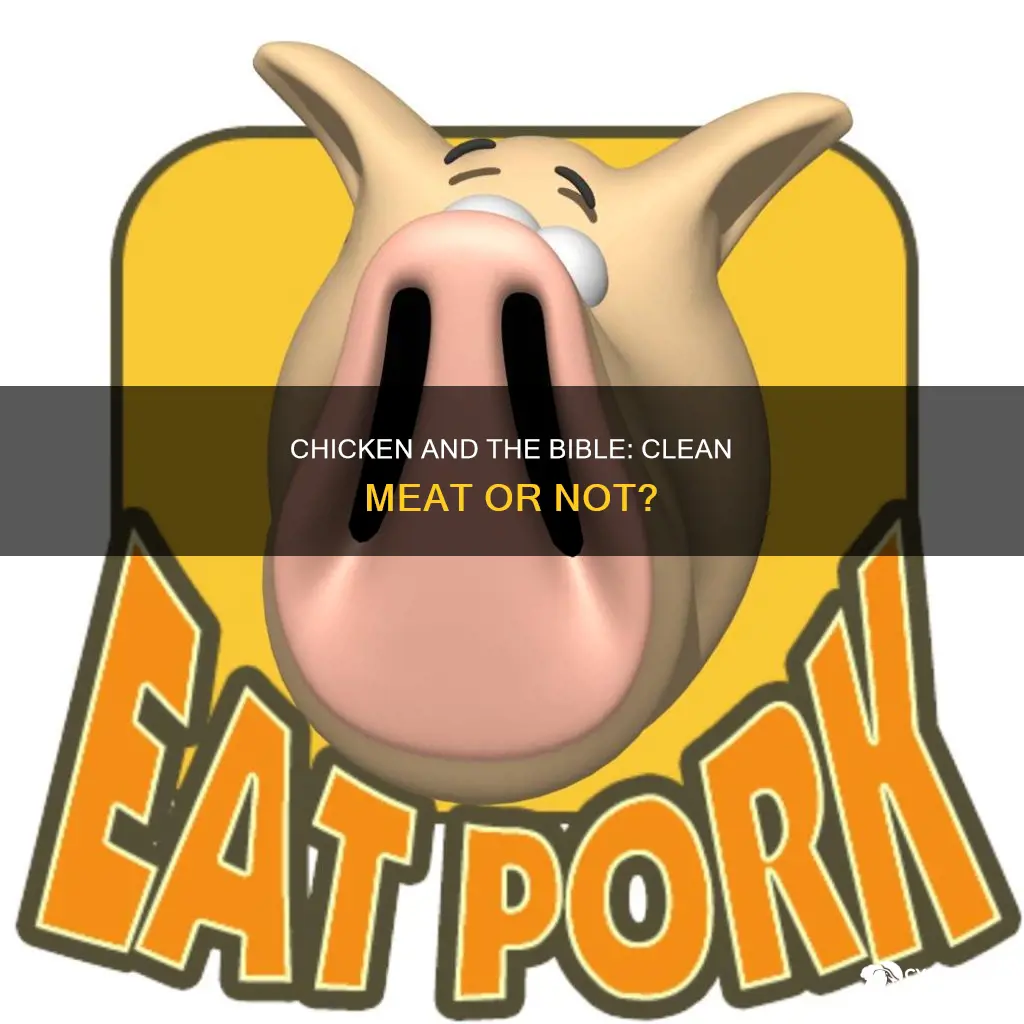 is chicken a clean meat according to the bible