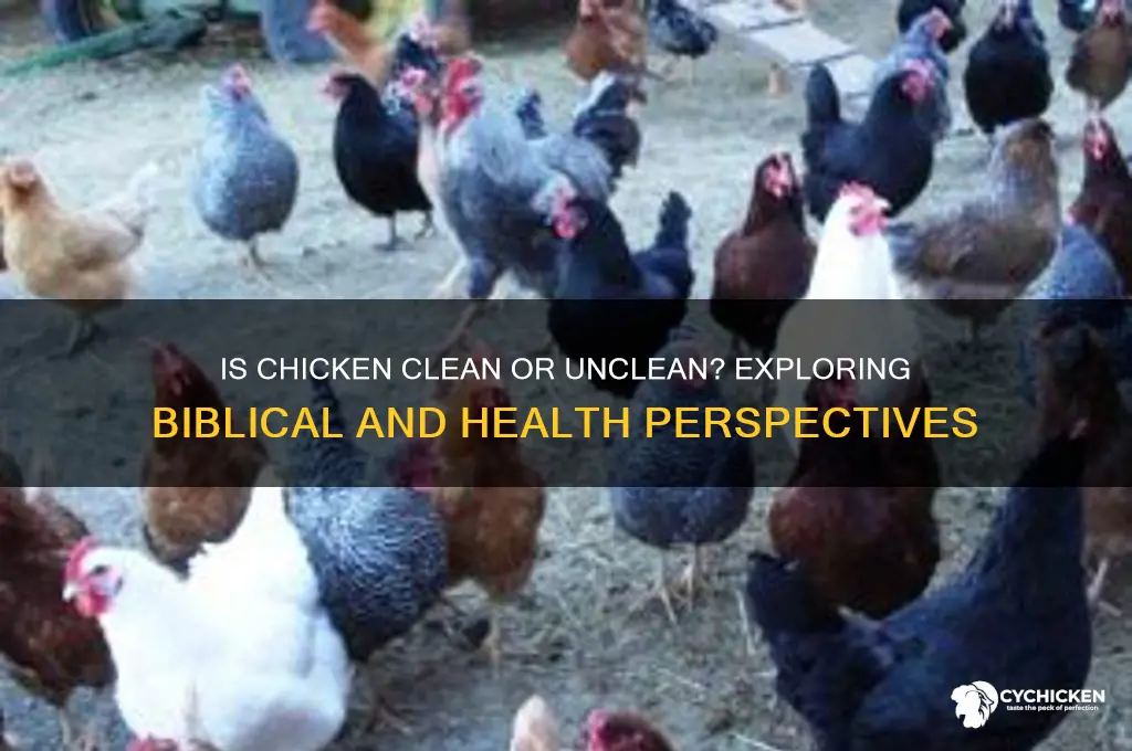 is chicken a clean or unclean animal