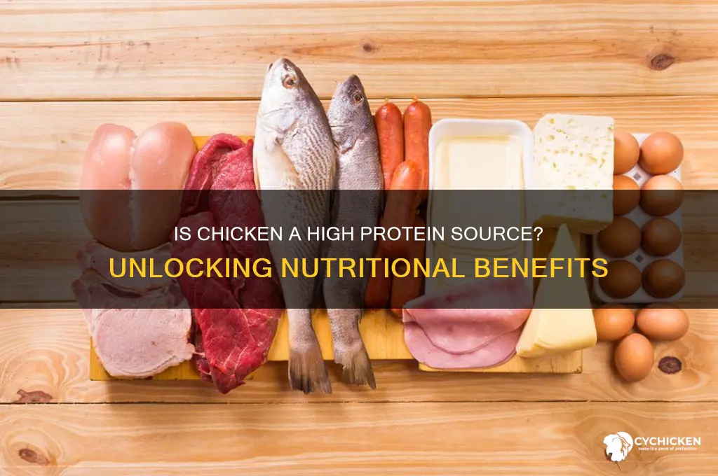 is chicken a high source of protein