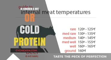 Is Chicken a Hot or Cold Protein? Unraveling the Thermal Debate