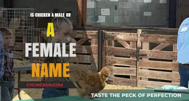 Is Chicken a Gender-Neutral Term? Exploring Its Male or Female Association