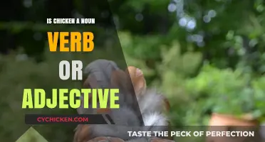 Is Chicken a Noun, Verb, or Adjective? Exploring Its Linguistic Roles
