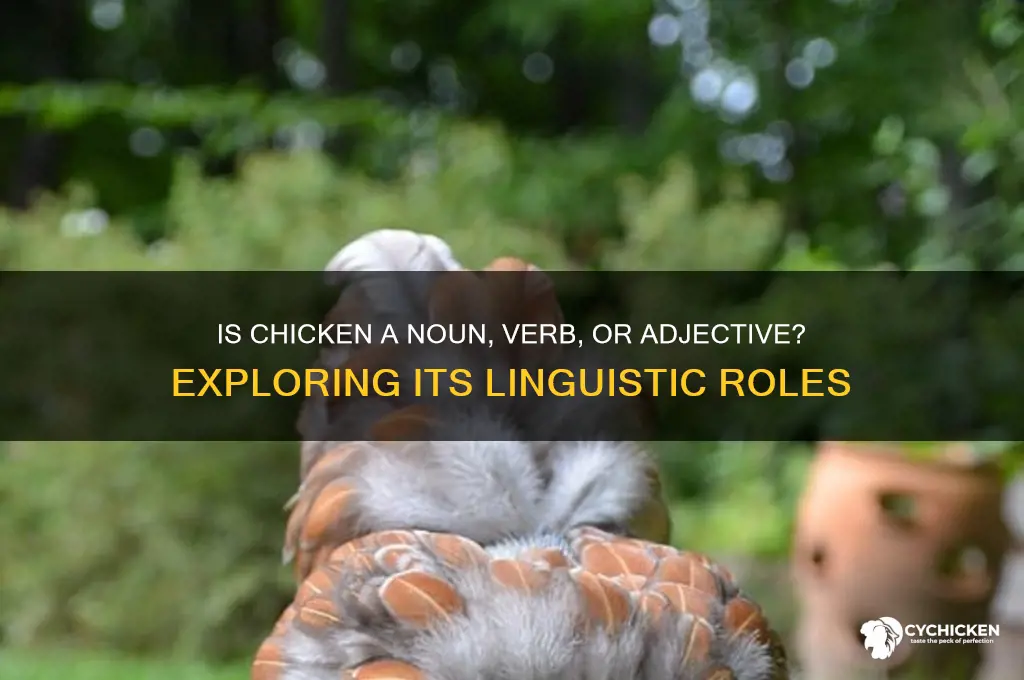 is chicken a noun verb or adjective