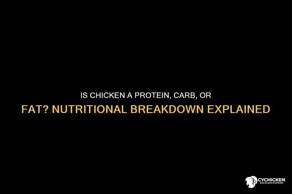 is chicken a protein carb or fat
