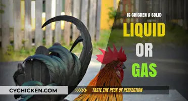 Is Chicken a Solid, Liquid, or Gas? Exploring the Science Behind