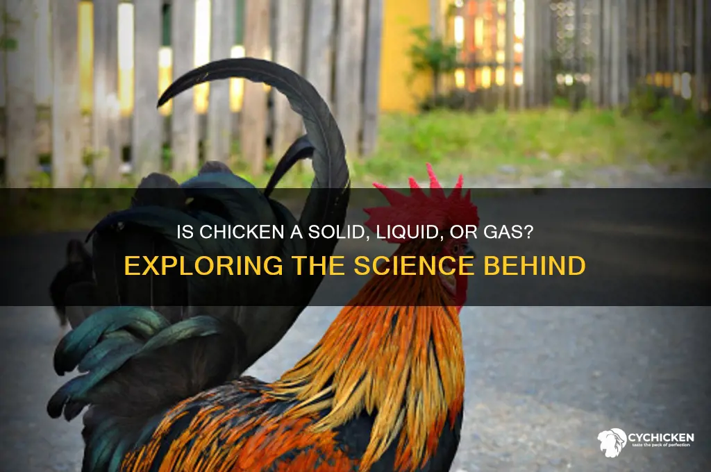 is chicken a solid liquid or gas