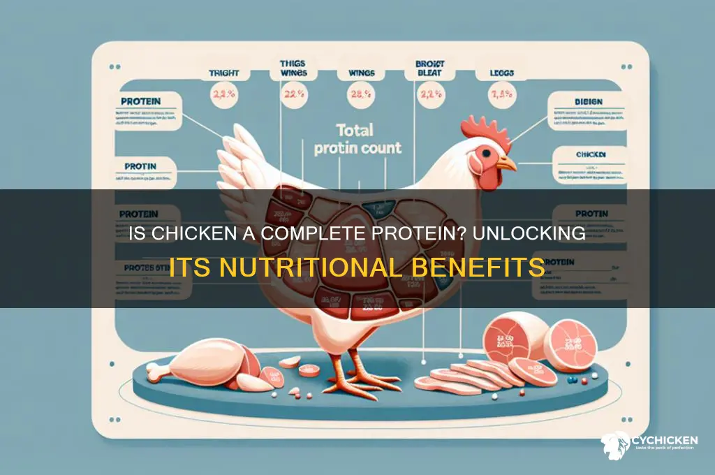is chicken a source of complete protein