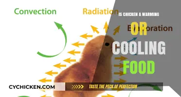 Chicken's Thermal Nature: Warming or Cooling Food for Your Diet?