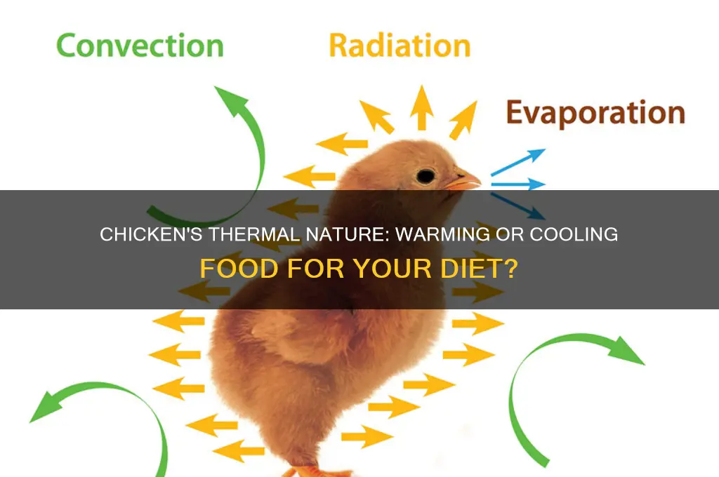 is chicken a warming or cooling food