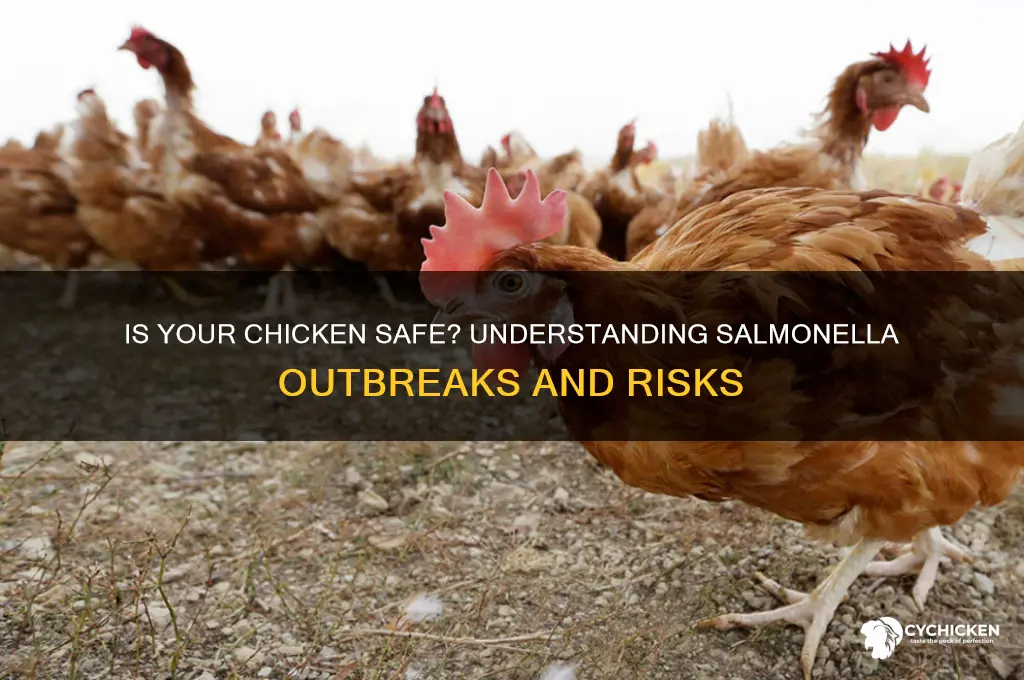 is chicken affected by the salmonella outbreak