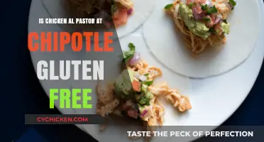 Is Chipotle's Chicken Al Pastor Gluten-Free? A Dietary Guide