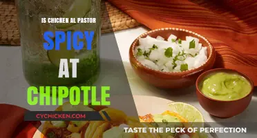 Is Chipotle's Chicken Al Pastor Spicy? A Flavor Breakdown