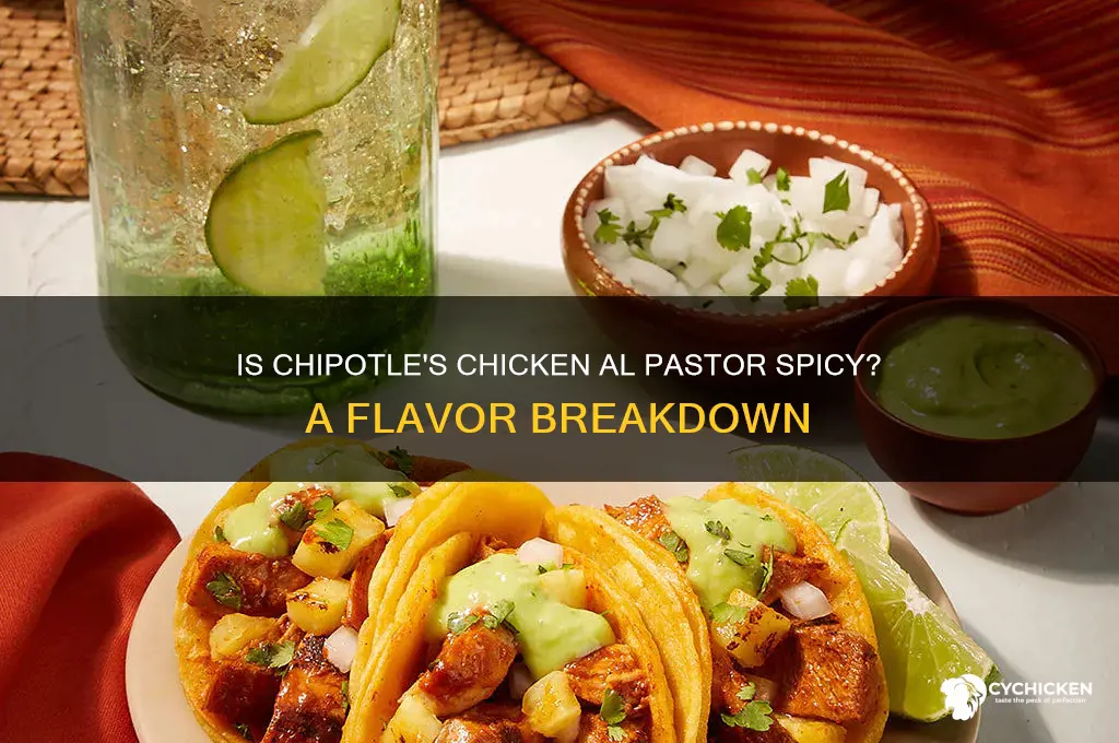 is chicken al pastor spicy at chipotle
