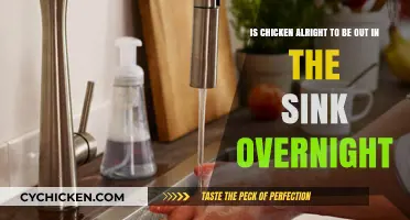 Chicken on the Sink: Overnight Okay?